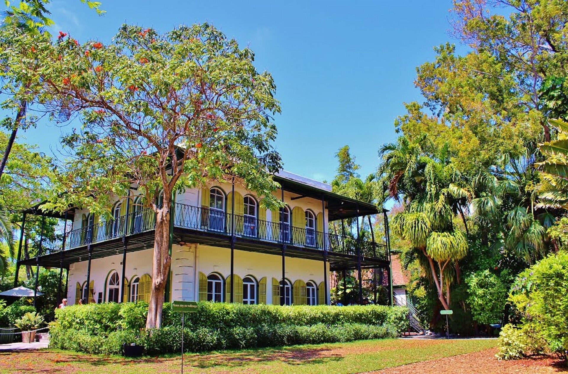 Ambrosia Key West — 1