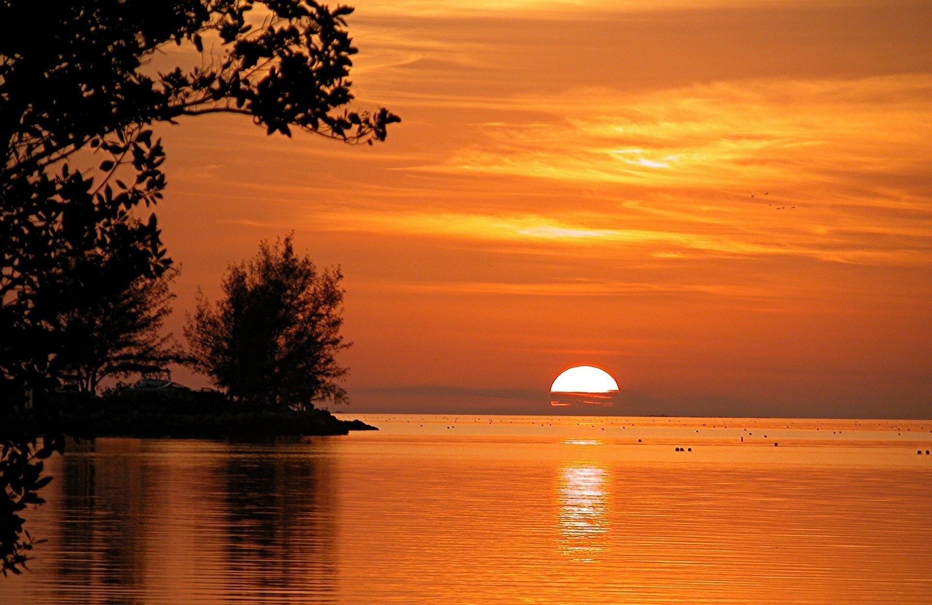 Ambrosia Key West — 2