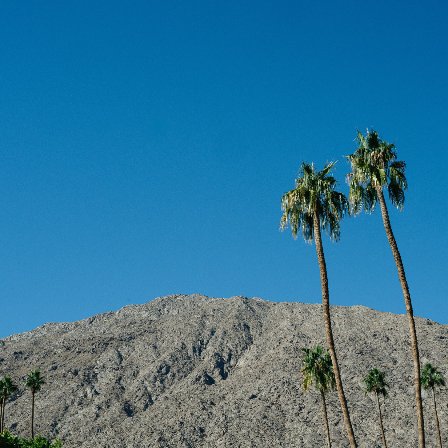 Avalon Hotel & Bungalows — 2