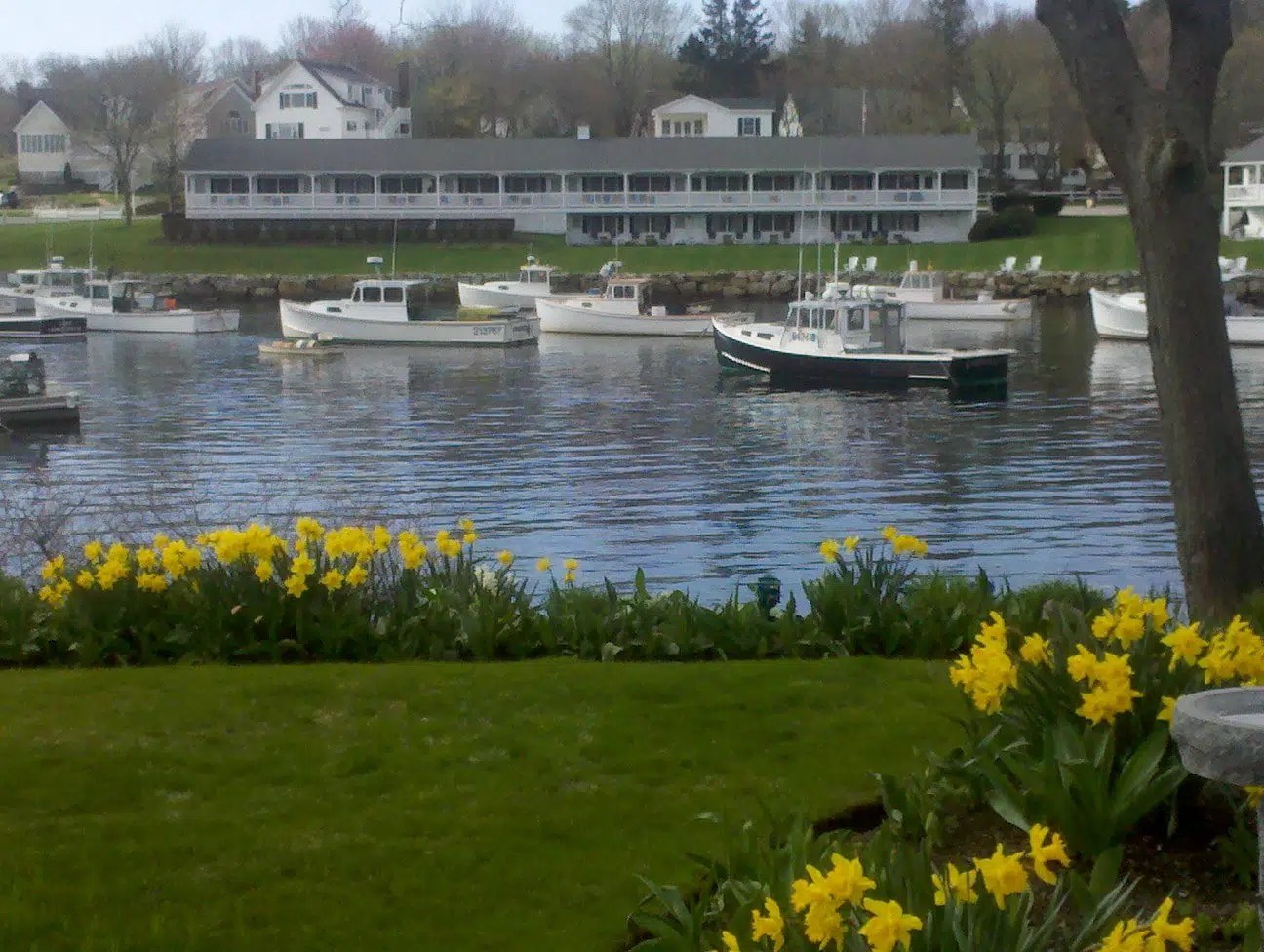 Beachmere Inn