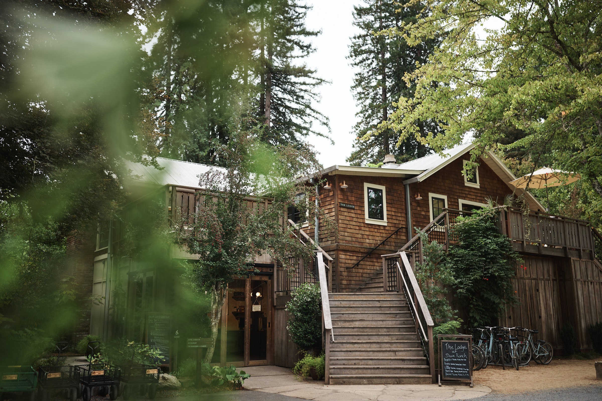 Dawn Ranch — 2