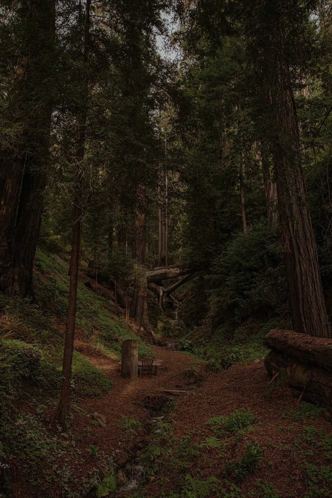 Deetjen's Big Sur Inn — 4