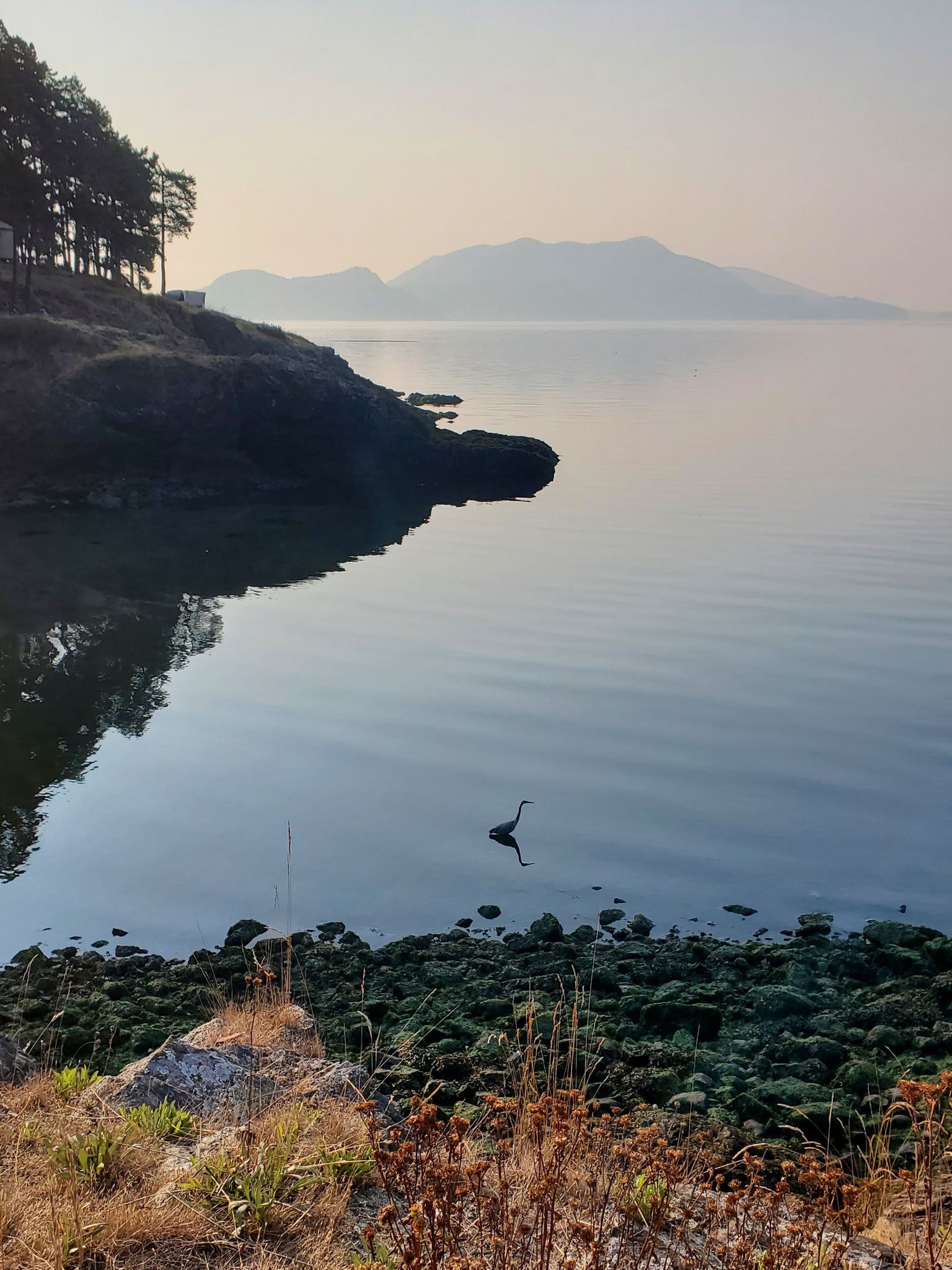 Doe Bay Resort — 2