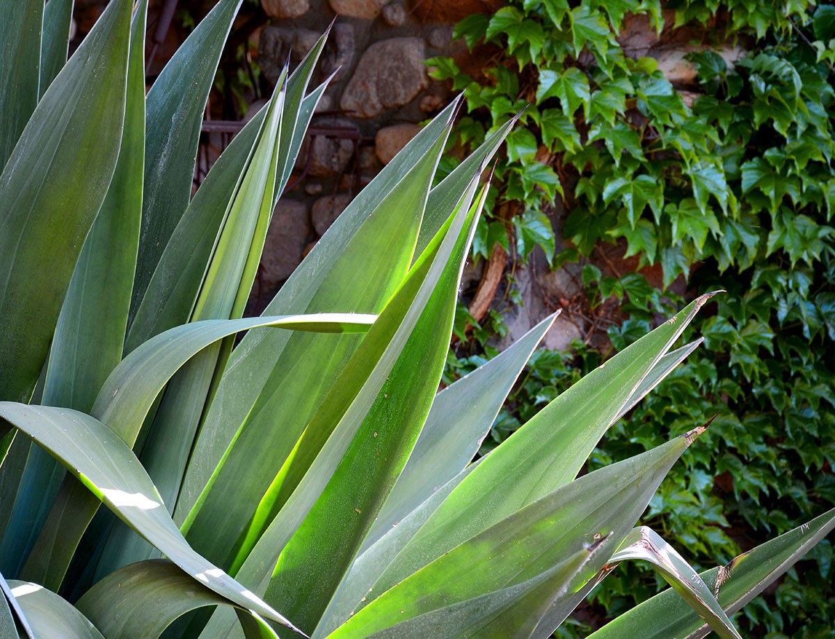 El Portal Sedona Hotel — 3