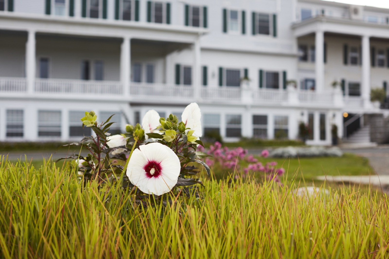Emerson Inn by the Sea — 3