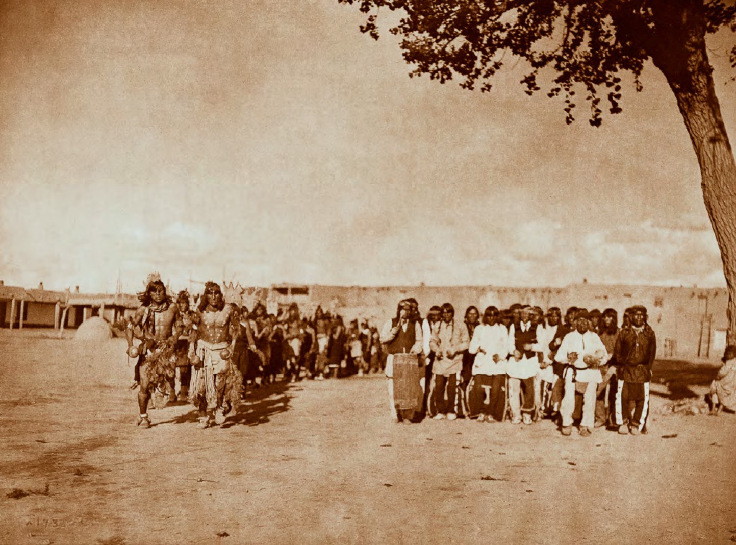Hacienda del Sol — 4