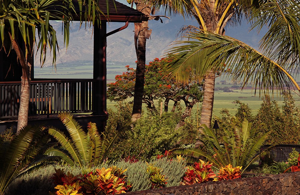 Lumeria Maui — 4