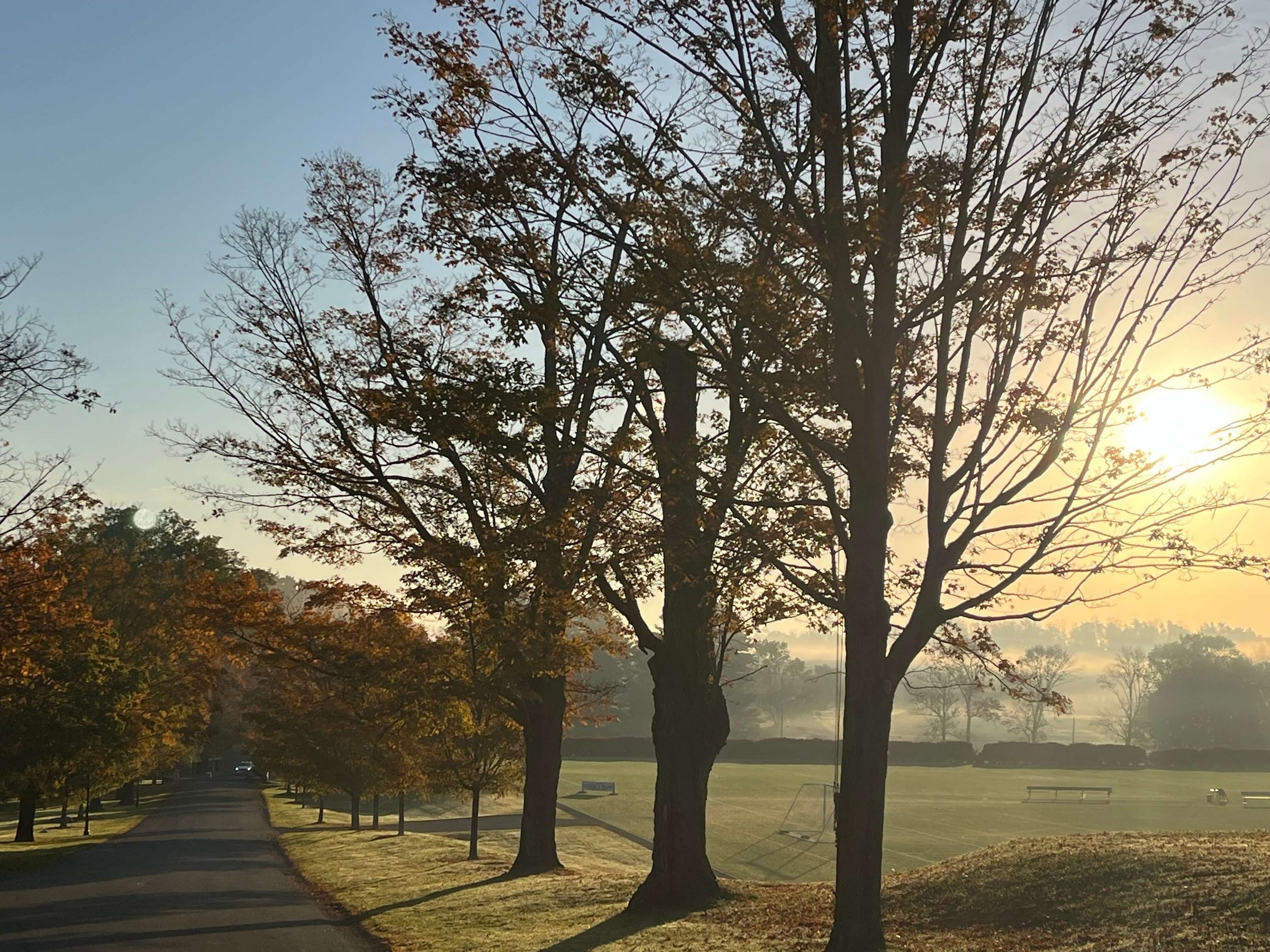Stonover Farm — 3