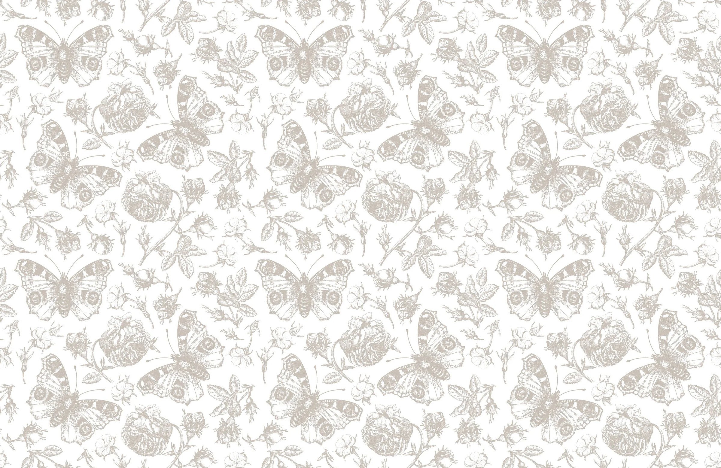 The Primrose — 1