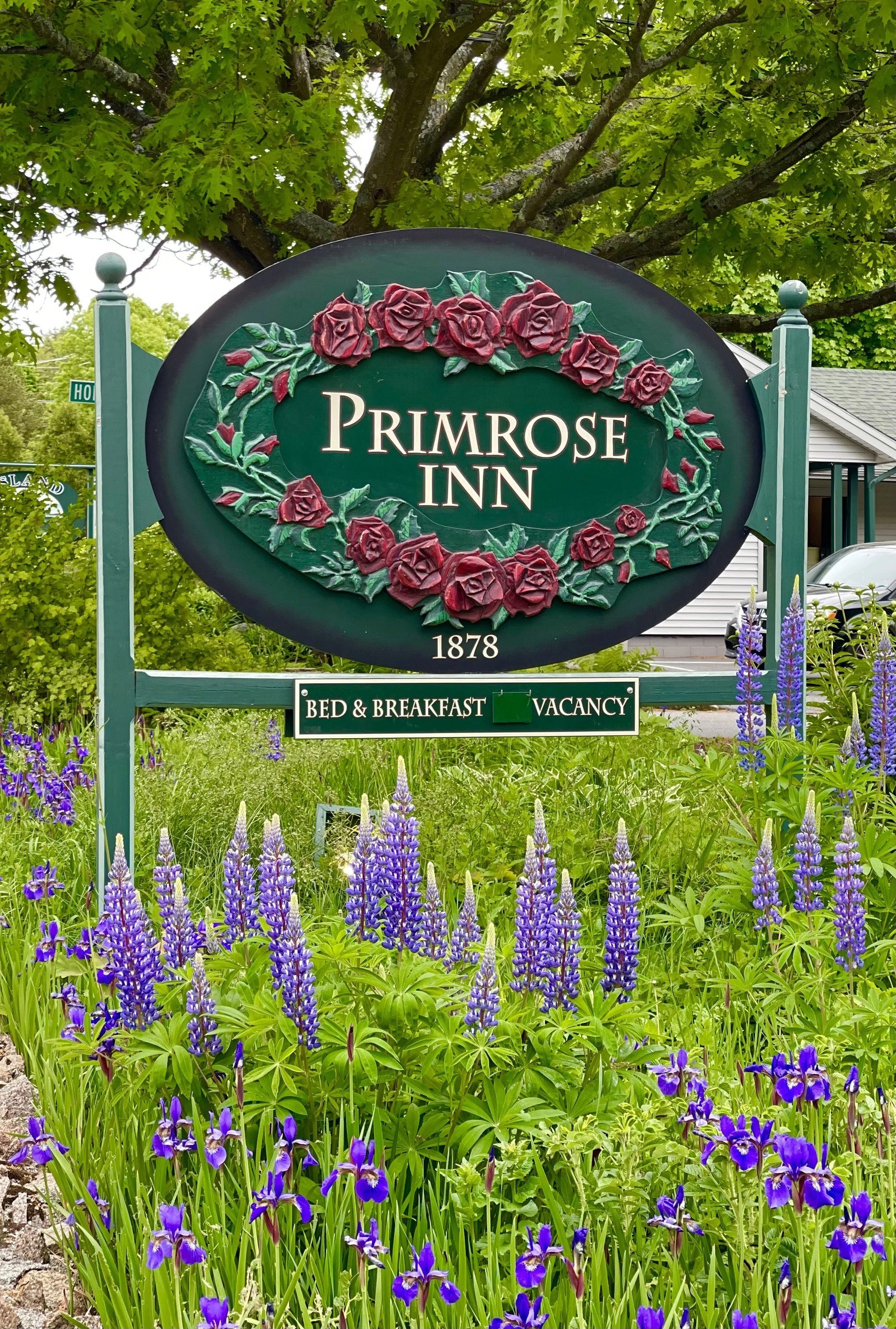 The Primrose — 3